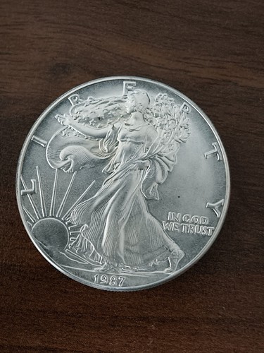 Usa dollar silver eagle - silver,