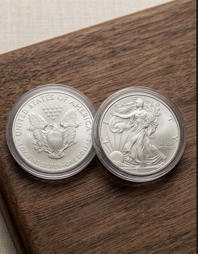 Usa american silver eagle 2007 - usa,