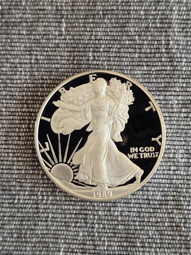 American silver eagle 1989 - silver,