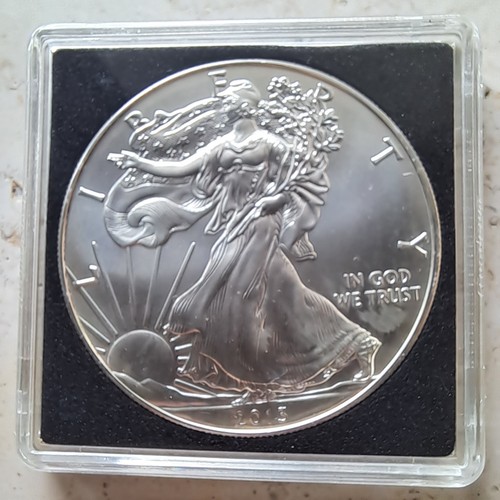 American silver eagle 2013 - american,