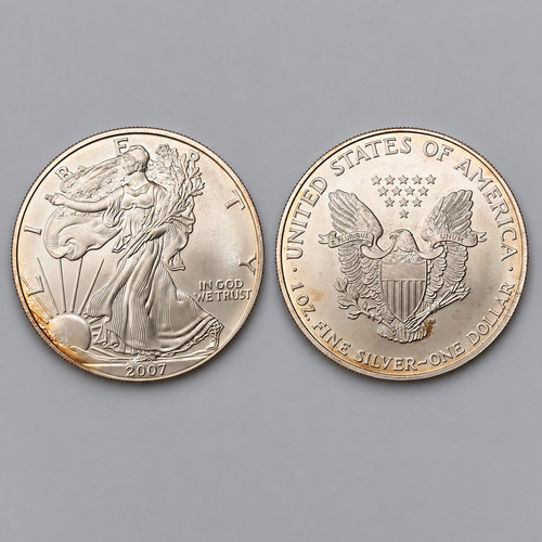 American silver eagle - american,