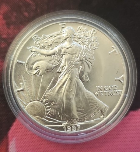 Silber american eagle - silber,