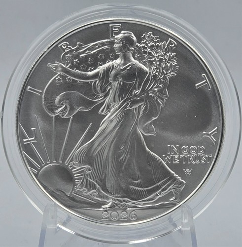 Usa 2026 american eagle - american,