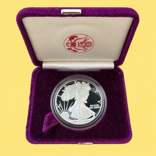 Usa american silver - usa, eagle