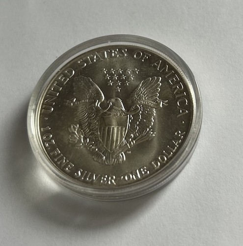 Usa american silver eagle 1987 - silver,