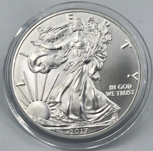 Usa 2017 american eagle - usa,