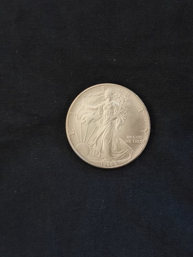 American silver eagle - 1996,